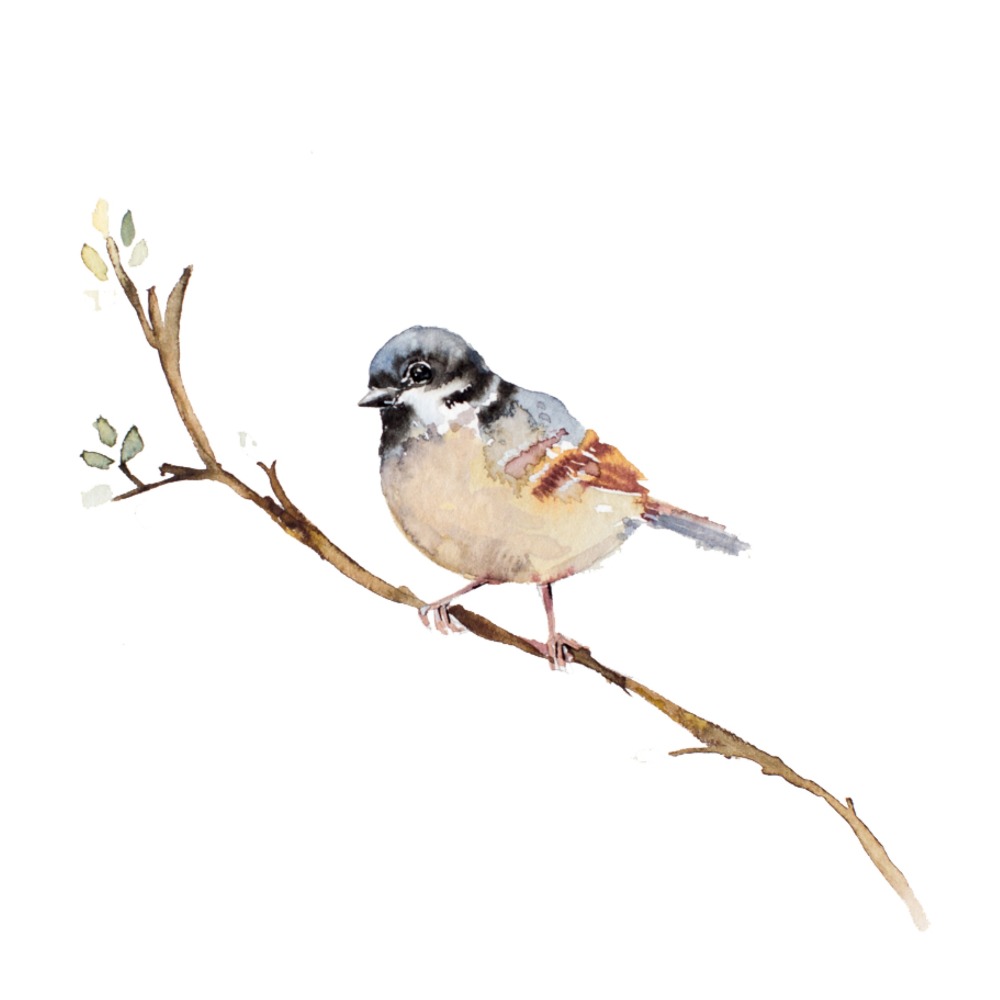 Meet your Posher, Joanna